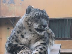 -青藏高原野生动物园