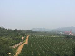 景点-北京张裕爱斐堡酒庄