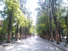 -中山大学学者灵芝(园南路店)