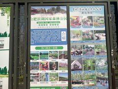 -合肥滨湖国家森林公园