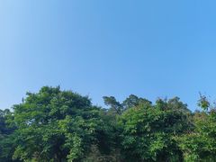 -南沙蒲洲花园
