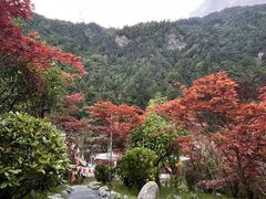 -古尔沟华美达温泉度假酒店