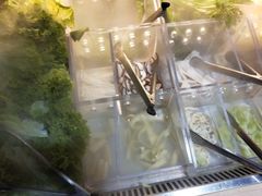 -火炉火自助餐(枫蓝国际店)