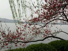 -西湖天地