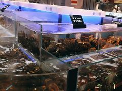 -同庆楼(滨湖万达广场店)