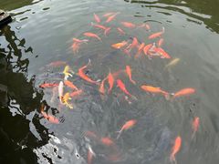 -瑞和泰(健身路店)