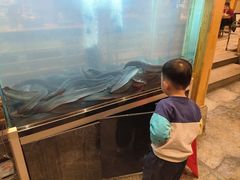 -枣玛尔脊骨汤·烤肉(西塔总店)
