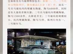 -秦始皇帝陵博物院(兵马俑)