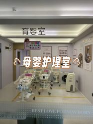 -爱帝宫月子中心(罗湖别墅院)
