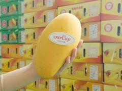 -可丽可丽·生日蛋糕·下午茶(厦门鹭港店)