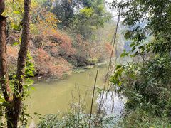 -中国科学院西双版纳热带植物园