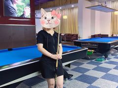 -丁俊晖台球俱乐部(海上海·弘基休闲广场店)