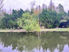 -绿荫坊餐厅(共青森林公园店)