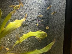 -上海海洋水族馆