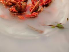 南乳花蛤-韵秋荷(宝山龙湖天街店)