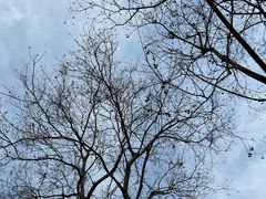 -南山风景名胜区