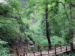 -大岭沟猕猴桃谷风景区