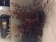 -沐SPA·坐忘山城·日式足道