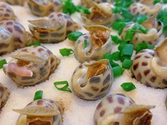 盐焗花螺-温岭人家(红花北路店)