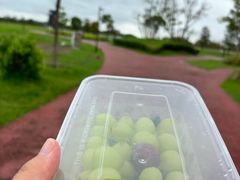 -春花秋色城市公园