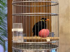 -杭州香格里拉·香宫中餐厅