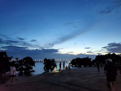 -宝安西湾红树林湿地公园