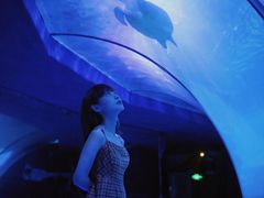 -左海海底世界