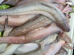 -宴小馆·小海鲜青岛菜(五四广场店)