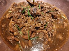 -成老灶火锅鸡(高东街店)