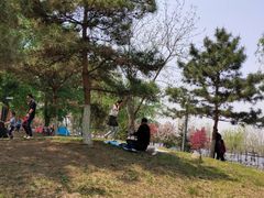 -长白岛森林公园