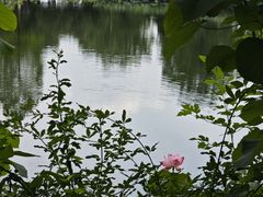 -金银湖国家城市湿地公园