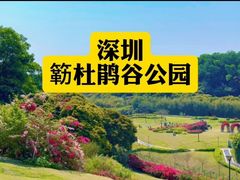 -麗枫酒店(深圳机场福永地铁站店)