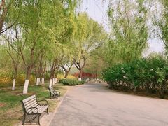 -永定河休闲森林公园