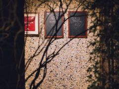 -The Pine 松涧