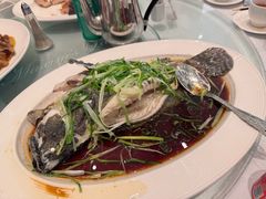 -美心皇宫(沙田大会堂店)