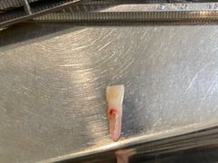 -维乐口腔(美维云门诊陆家嘴店)