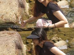 -广州白江湖森林公园