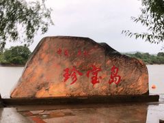 -珍宝岛