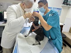 -美联众合动物医院·24h转诊中心