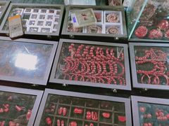 -中环花鸟鱼虫市场