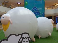 -阳光天地