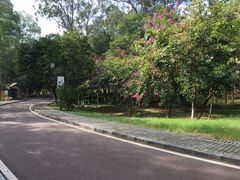 -东莞市虎英郊野公园