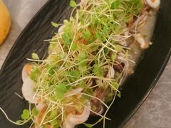 -Hi City·城市之巅