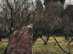 -无锡梅园公园
