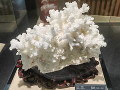 -秦岭终南山世界地质公园翠华山景区