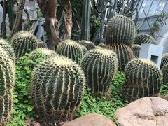 -郑州植物园