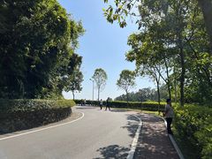 -火炉山森林公园