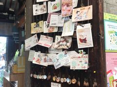 -猫的天空之城概念书店(苏州平江店)