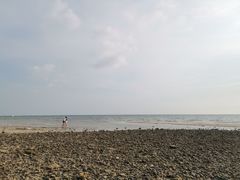 -贝壳沙滩