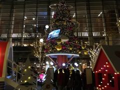-上海浦东嘉里大酒店